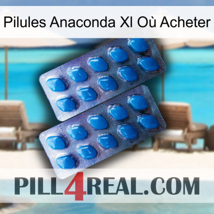 Pilules Anaconda Xl Où Acheter viagra2